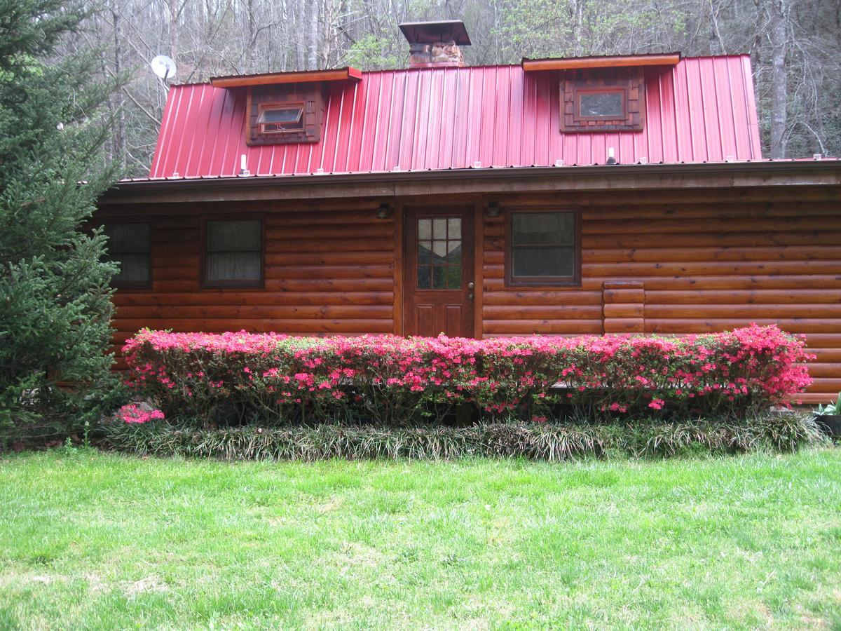 רובינסוויל Buffalo Creek Bed And Breakfast מראה חיצוני תמונה