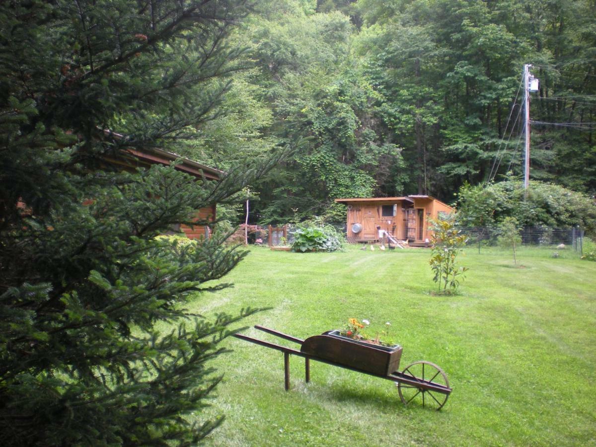 רובינסוויל Buffalo Creek Bed And Breakfast מראה חיצוני תמונה